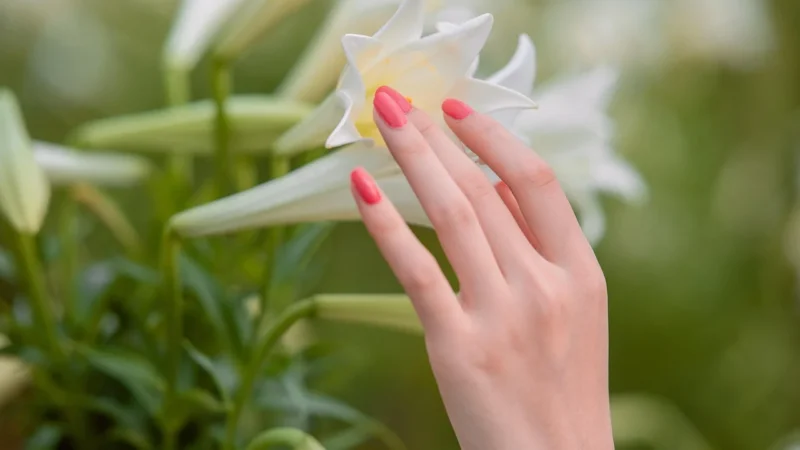 Activeshop Podpórka Do Manicure Momo M 10 Złoto Czarna