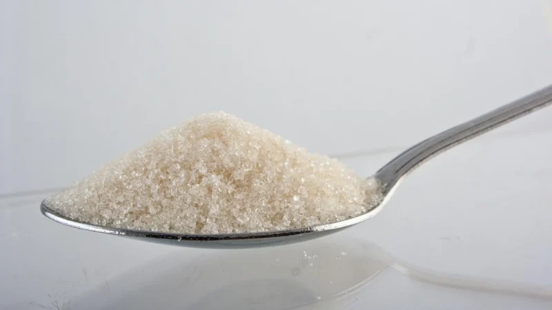 BIOMUS Jabłczan magnezu 100g