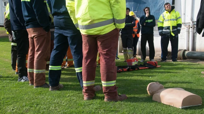 Brayden Fantom Pro Z Funkcją Informacji Zwrotnej