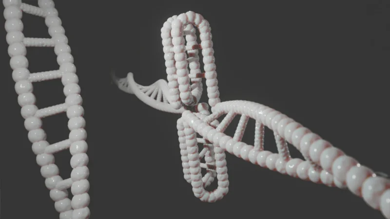 Budowa i replikacja DNA plansza dydaktyczna visual