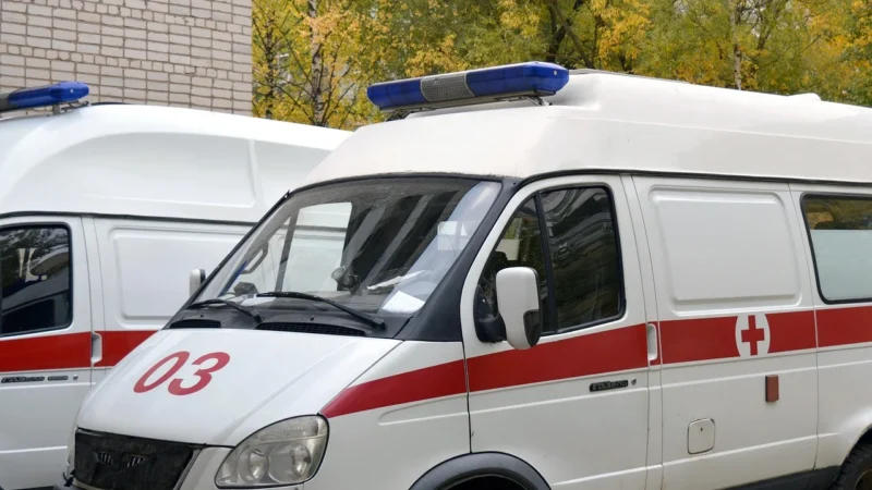 Contec Elektrokardiograf Ecg 300 Gt