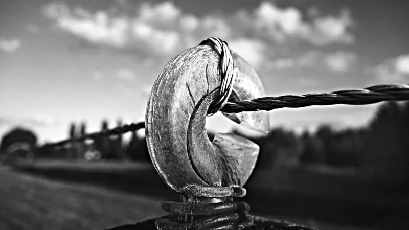 Drut do ogrodzeń elektrycznych, średnica 2 mm, żółto-pomarańczowy