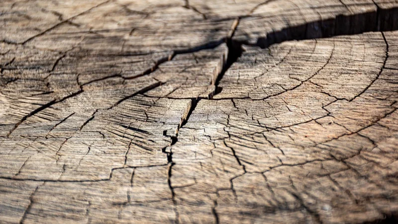 Formówki Sekcyjne Profilowane (Op. 50 Szt.) Średnie Z Krawędzią 0.050Mm Hard