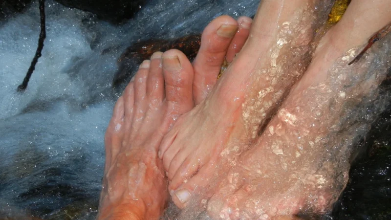 Fotel Do Pedicure Z Masażem Br-3820D Brązowy