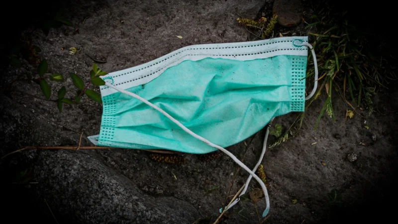 Jednorazowy skalpel (ostrze nr 15 na uchwycie)