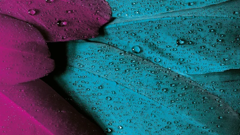 Jetworld Toner JW-OLP3302MN Magenta do drukarek Olivetti (Zamiennik B1346) [9k] (JWOLP3302MN)