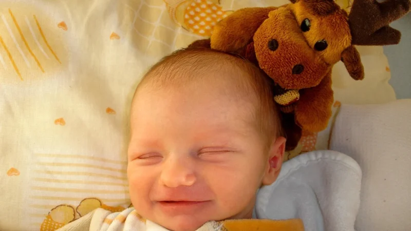 Laryngoskop światłowodowy – zestaw neonatalny – profesjonalny