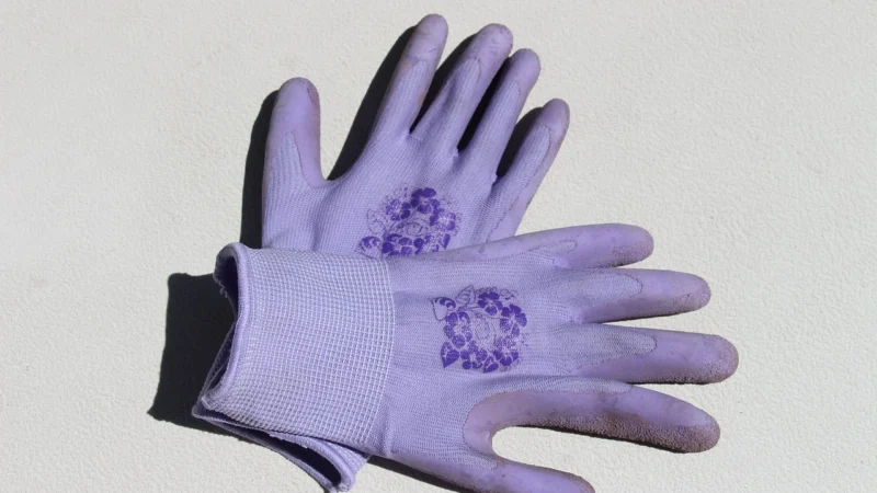 Mercator Medical Rękawice Mercator Classic Violet Size M 100 Szt.