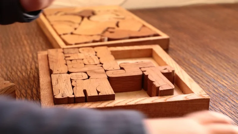 Moyo Montessori Układanka Przytrzymanka Dwa Palce