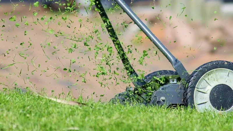 Nowoczesne maszyny do pielęgnacji poboczy – kosiarka gąsienicowa w roli głównej