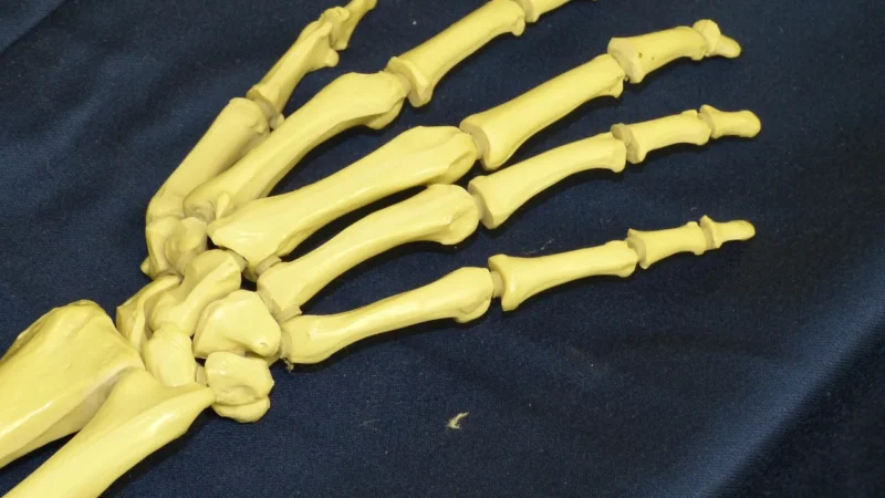 Nowoczesne terapie reumatologiczne – profesjonalna opieka w Krakowie