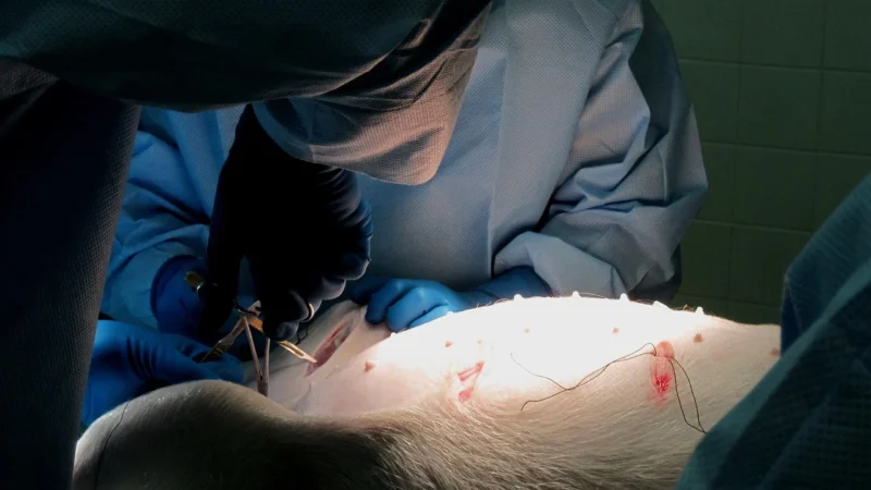 Ordisi Lampa Bezcieniowa Led Zabiegowo-Diagnostyczna Dwuczaszowa Sufitowa L21-25Td