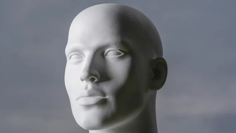 Physa Męski Układ Moczowo Płciowy Model Anatomiczny Phy Us 1