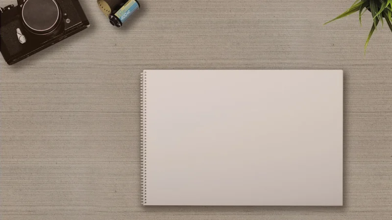 Rauch Papier W Roli Drylab Pearl 250 G/M2 – 203Mm X 101M / 2 Rolki