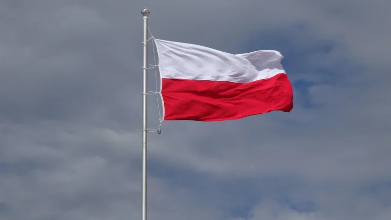 Td Godło Rzeczpospolitej Polskiej Mosiądzowane Na Tarczy