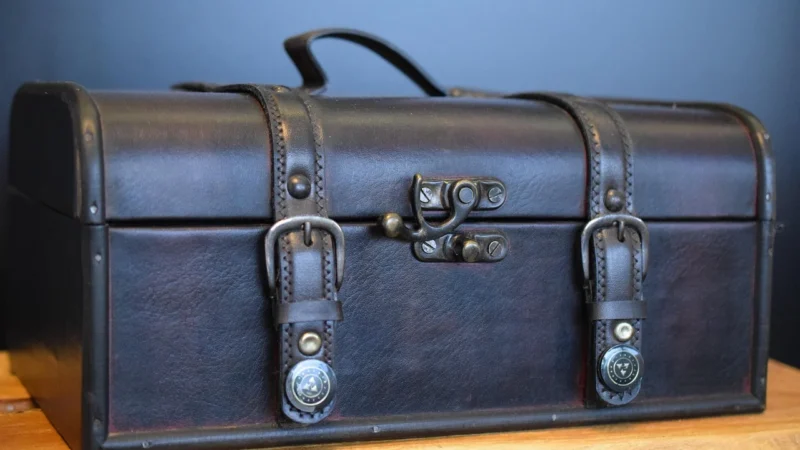 Tuscany Leather Giotto – ekskluzywny skórzany kuferek lekarski z podwójnym dnem, kolor miodowy TL142071