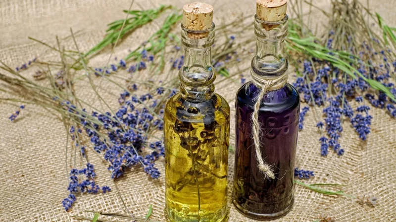 V-OIL Uniwersalny olej do turbin i kątnic stomatologicznych 500ml